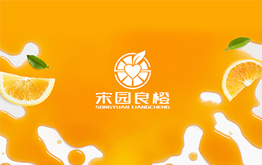 某良橙——沧州LOGO设计